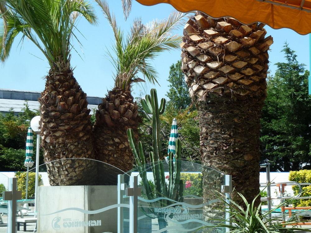 Hotel Cormoran Riccione Exterior photo